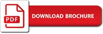 download-pdf-s